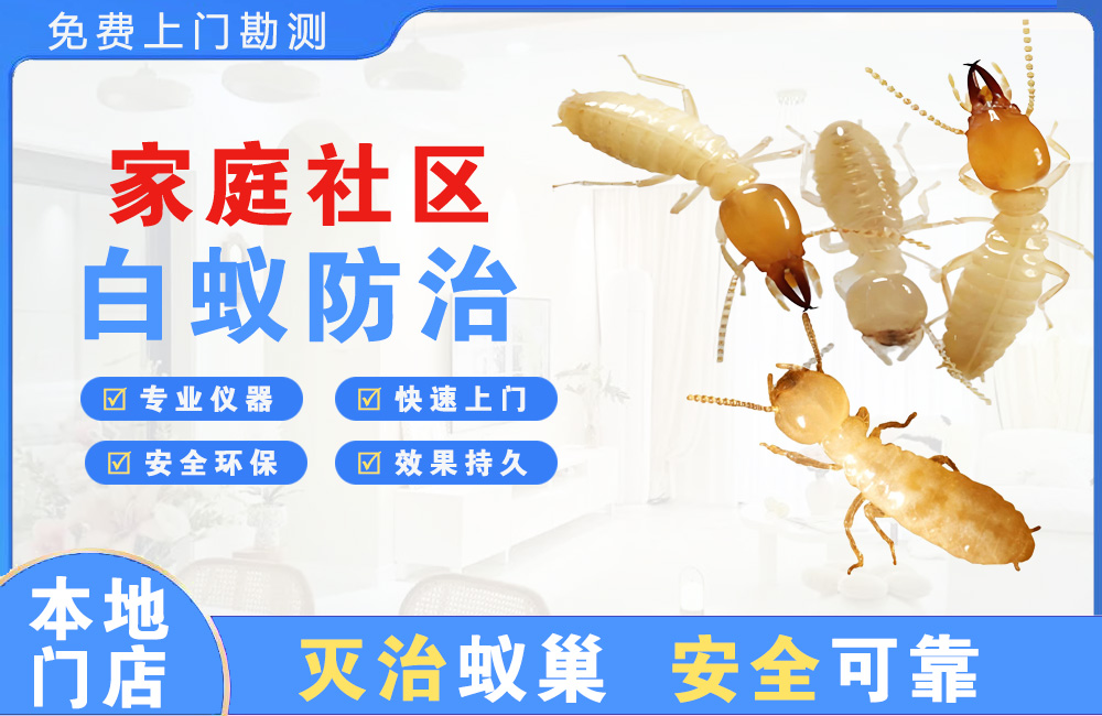 湖州家庭社区白蚁防治