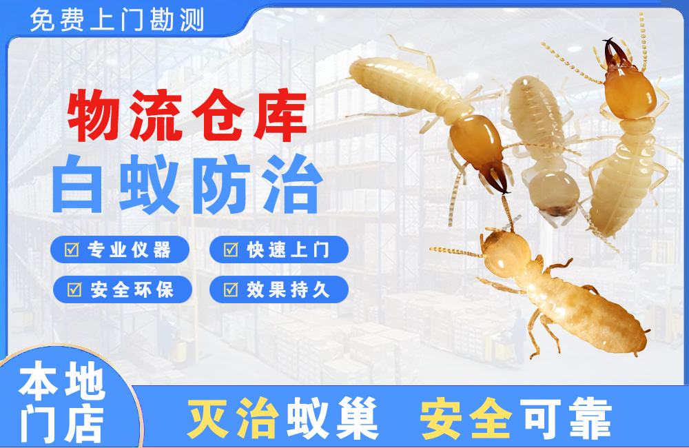 湖州物流仓库白蚁防治