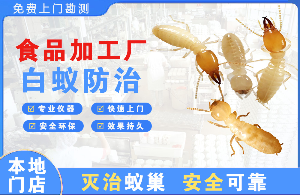 湖州食品加工厂白蚁防治
