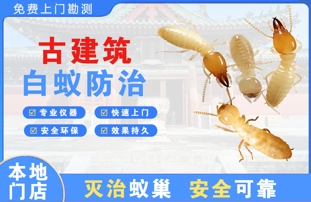 湖州古建筑白蚁防治