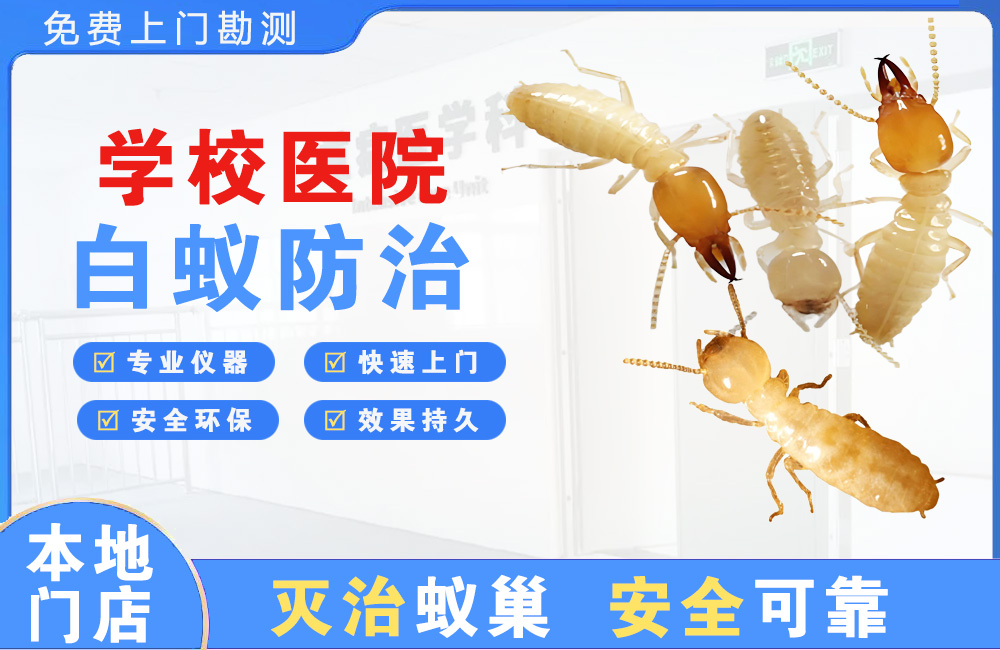 湖州学校医院白蚁防治