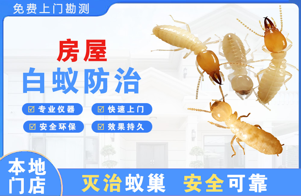 湖州房屋白蚁防治