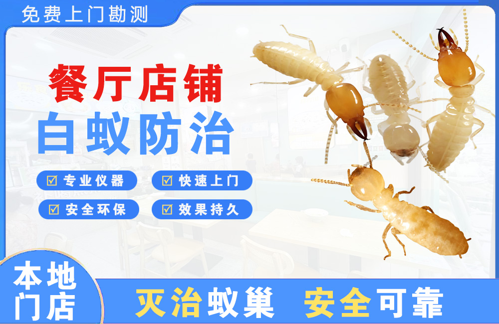 湖州餐厅店铺白蚁防治